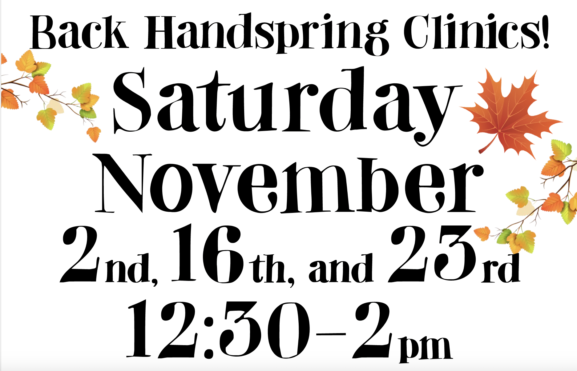 Back Handspring Clinic November 2024